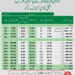 Details of per unit price increment by NEPRA 2023